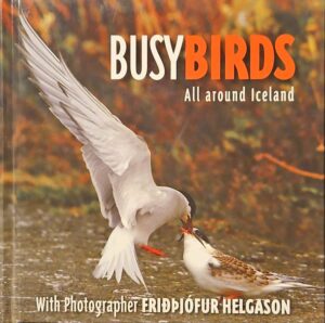 צילום של הספר Busy Birds: All Around Iceland / Friðþjófur Helgason
