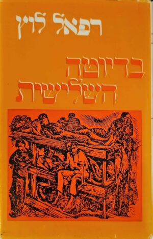 צילום של הספר בדיוטה השלישית / רפאל לוץ