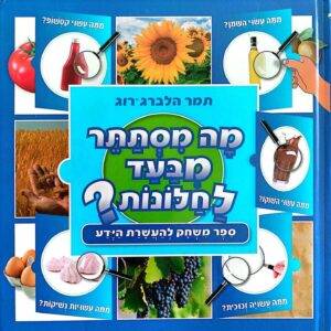 צילום של הספר מה מסתתר מבעד לחלונות? / תמר הלברג־רוג