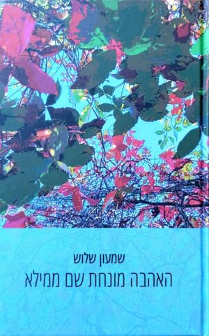 צילום של הספר האהבה מונחת שם ממילא / שמעון שלוש