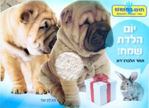 צילום של הספר יום הולדת שמח! – חוש המישוש / תמר הלברג־רוג (ספר קרטון)