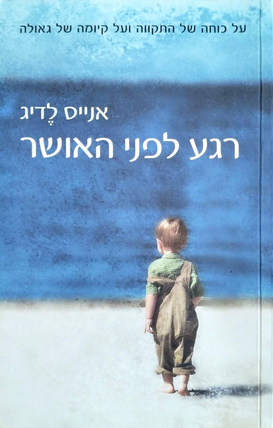 צילום של הספר רגע לפני האושר / אנייס לדיג