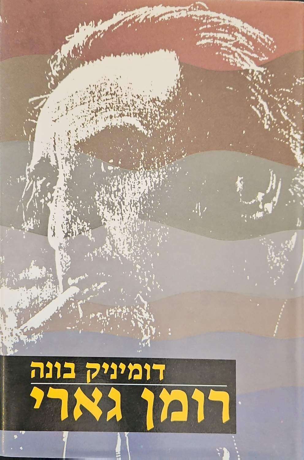 צילום של הספר רומן גארי / דומיניק בונה