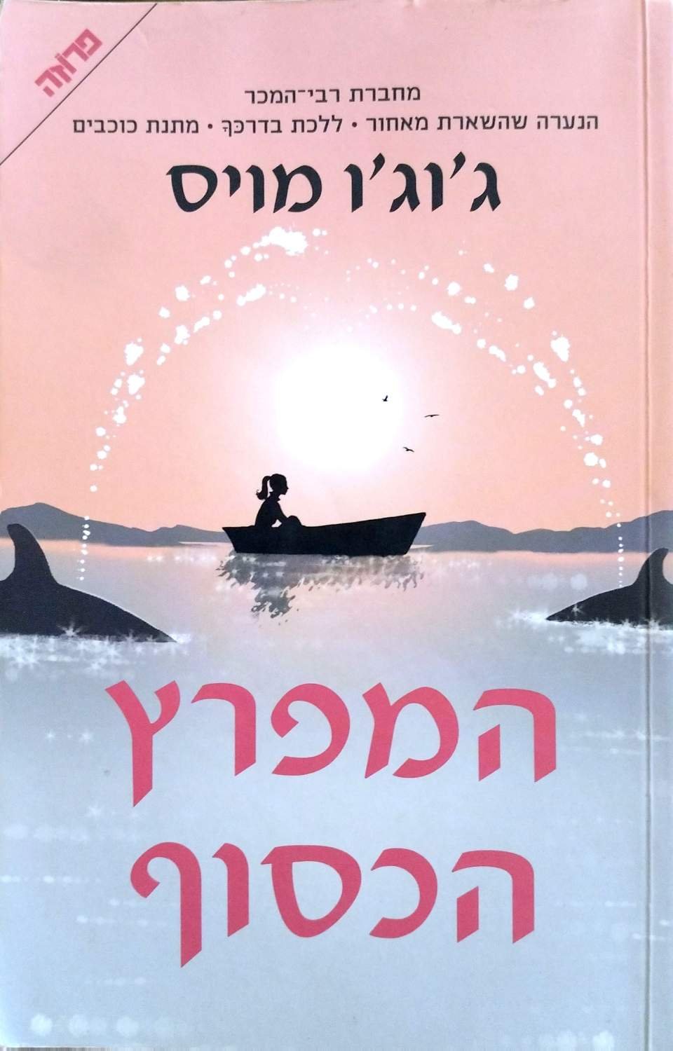צילום של הספר המפרץ הכסוף / ג'וג'ו מויס